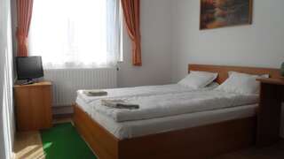 Отель Pensiunea Trasura - Hinto Panzio Одорхею-Секуеск Двухместный номер с 1 кроватью или 2 отдельными кроватями-5